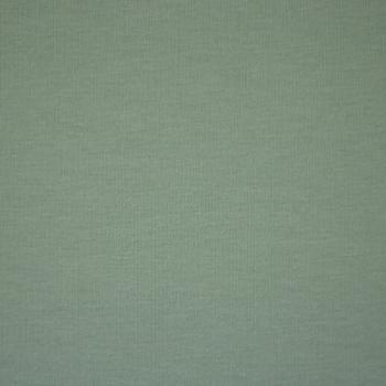 Preview: Swafing Vanessa Baumwoll Jersey Uni Altmint 262